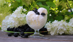 Erdmandel als Nussalternative