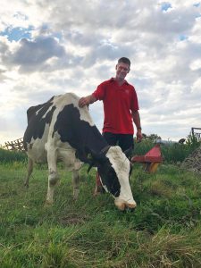 Milch aus der Region Gouda