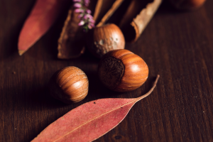 Haselnuss: Rohstoff für Lieblingseis