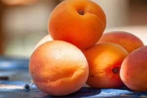 Aprikosen