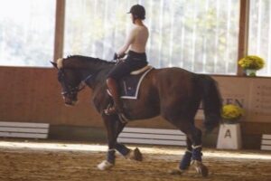 Sonja Wendt zu Pferd