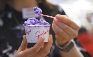 Gelatop Magic Lotta Gebas Gelatissimo 