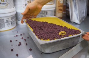 Pernigotti Aromas of Italy Gebas GmbH Gelatissimo