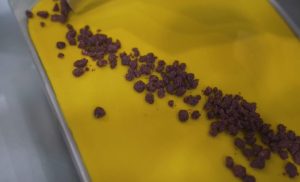 Pernigotti Aromas of Italy Gebas GmbH Gelatissimo