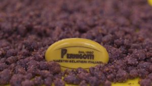 Pernigotti Aromas of Italy Gebas GmbH Gelatissimo