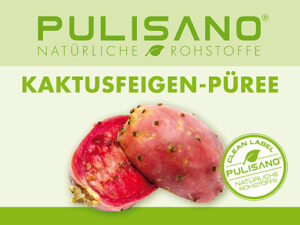 222094_Pulisano_Kaktusfeige