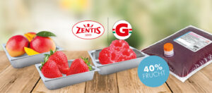 ZENTIS Fruchteis Sorbet Mango Erdbeer Himbeer Fertigmix