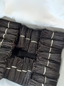 Vanille Schoten von GEBAS